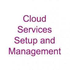 Cloud Services Setup and Management