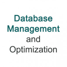 Database Management and Optimization