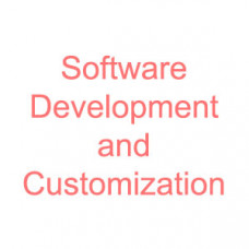 Software Development and Customization